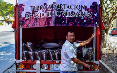 Francisco – buying coffee directly from the grower in Mexico